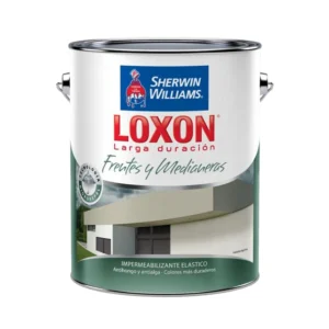 Loxon Larga Duración Frentes y Medianeras 10lt sherwin w